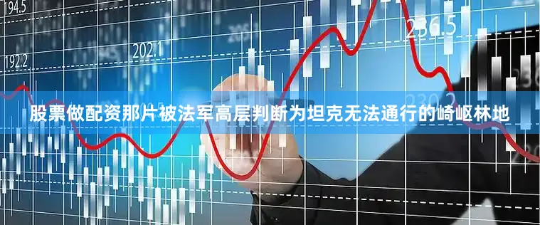 股票做配资那片被法军高层判断为坦克无法通行的崎岖林地