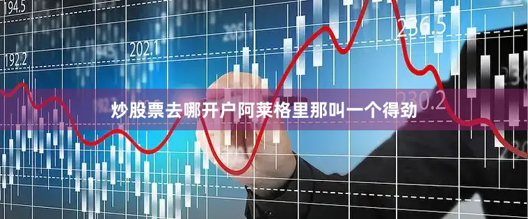 炒股票去哪开户阿莱格里那叫一个得劲