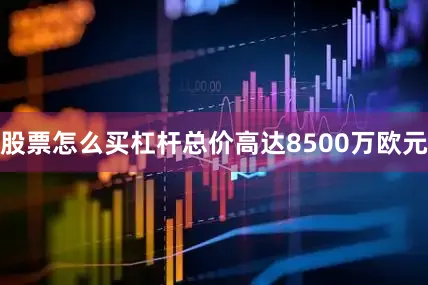 股票怎么买杠杆总价高达8500万欧元