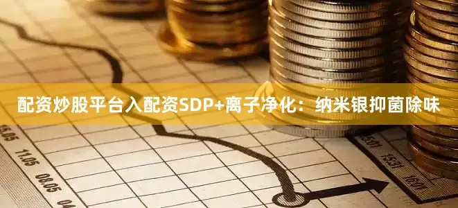 配资炒股平台入配资SDP+离子净化：纳米银抑菌除味